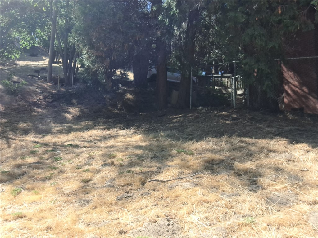 24814 Edelweiss Property Photo 3