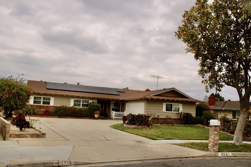 9081 Tangelo Property Photo 1
