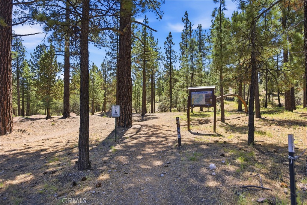 744 E Big Bear Property Photo 19