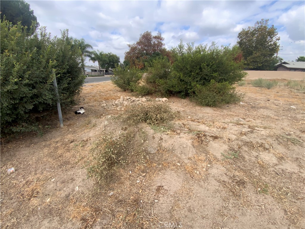 25338 4th Property Photo 4