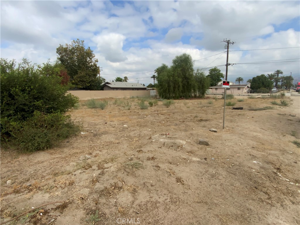 25338 4th Property Photo 7
