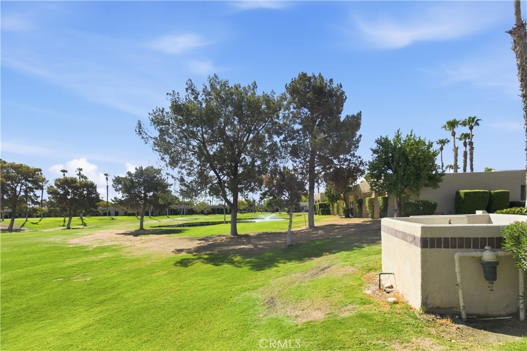 28984 Desert Princess Drive Property Photo 22