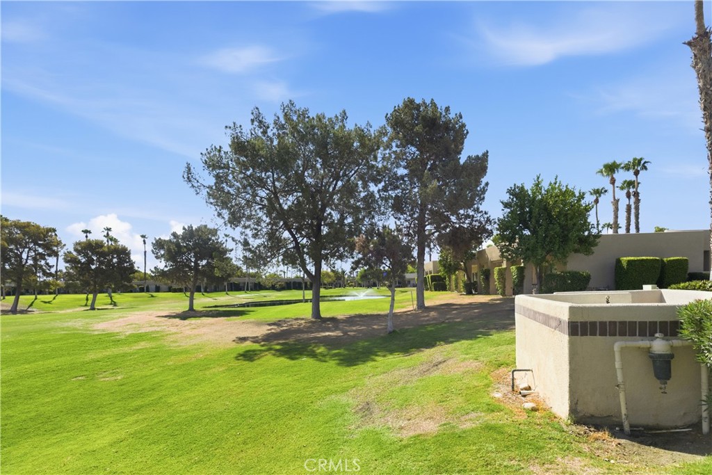28984 Desert Princess Drive Property Photo 22