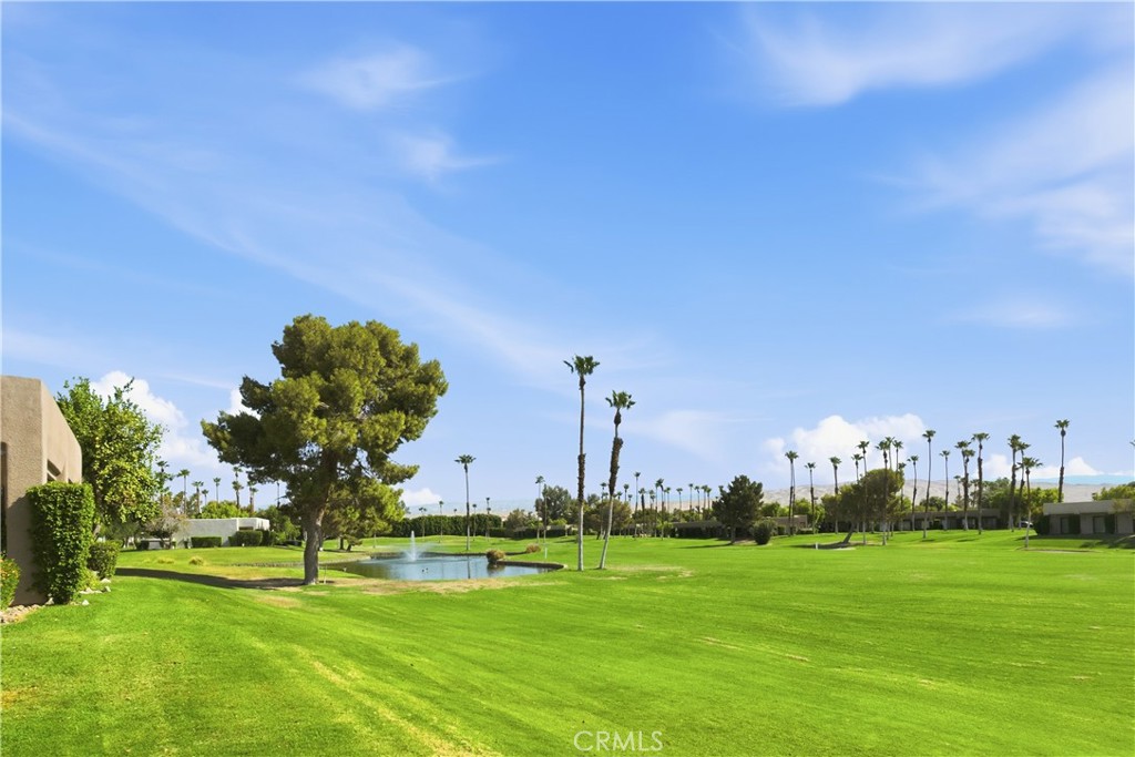 28984 Desert Princess Drive Property Photo 24