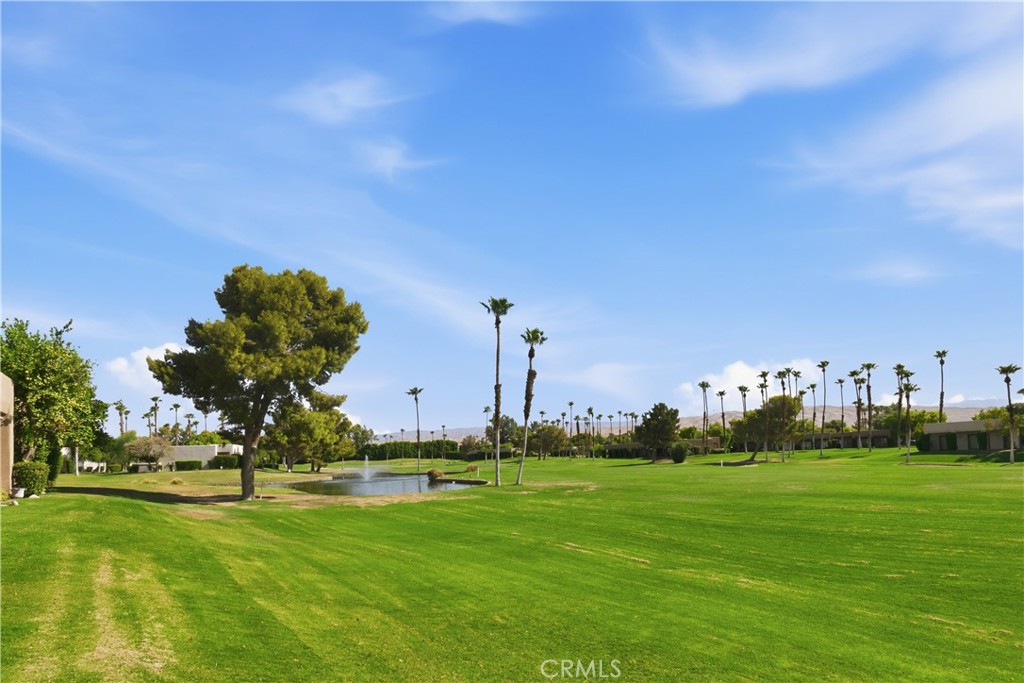 28984 Desert Princess Drive Property Photo 25