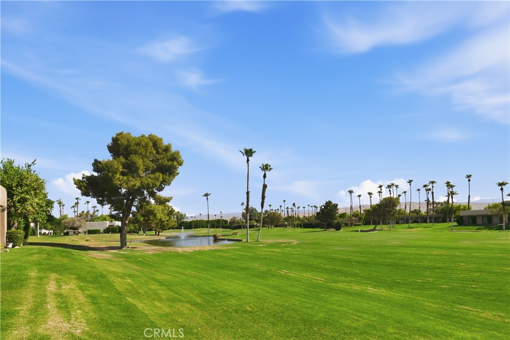 28984 Desert Princess Drive Property Photo 25