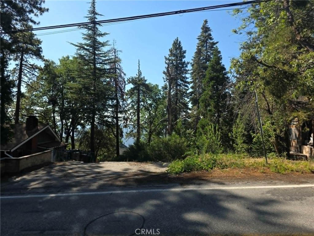 30778 Live Oak Property Photo 1