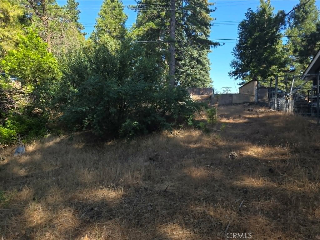 30778 Live Oak Property Photo 5