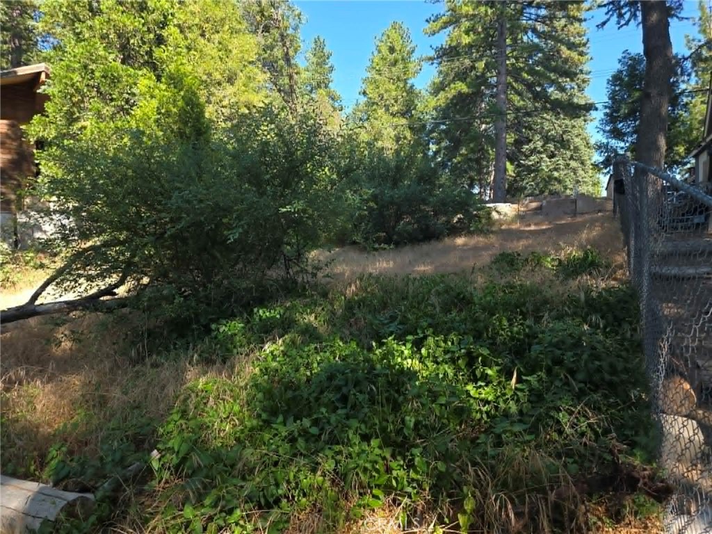 30778 Live Oak Property Photo 6