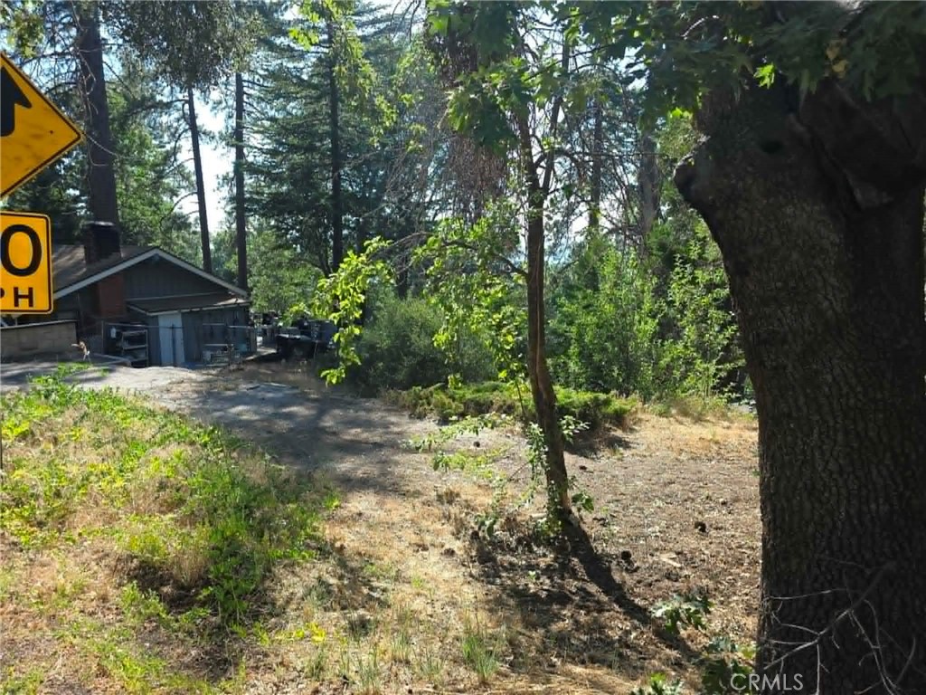 30778 Live Oak Property Photo 9