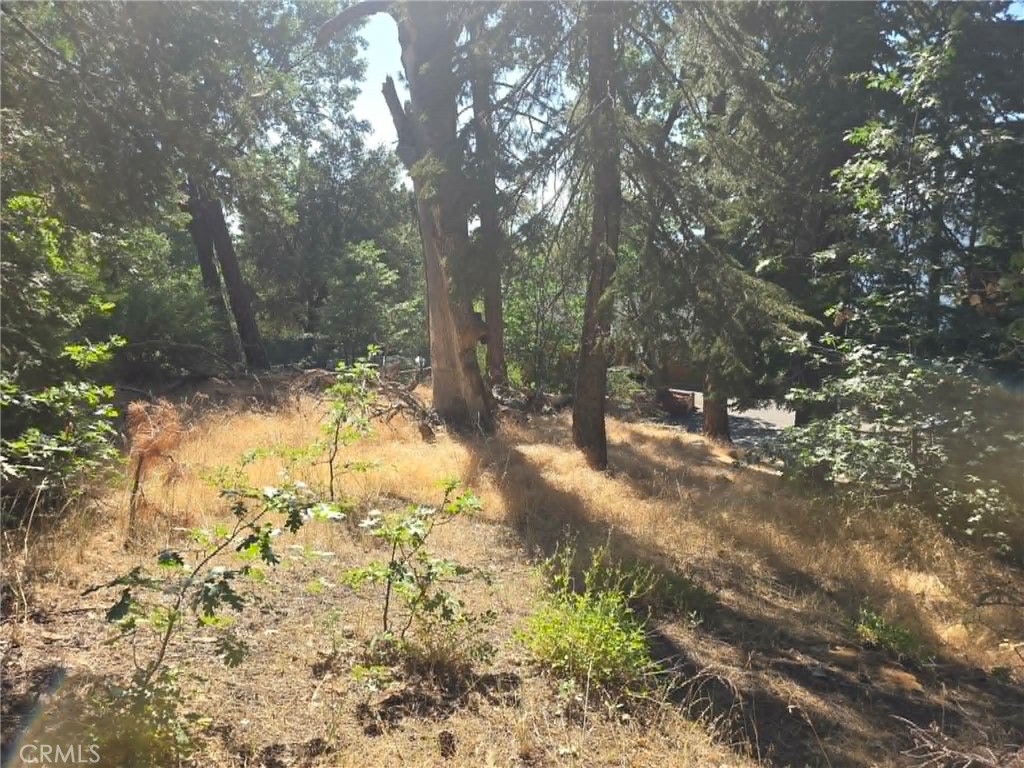 30778 Live Oak Property Photo 10