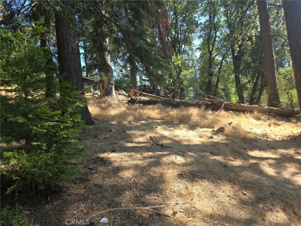 30778 Live Oak Property Photo 11