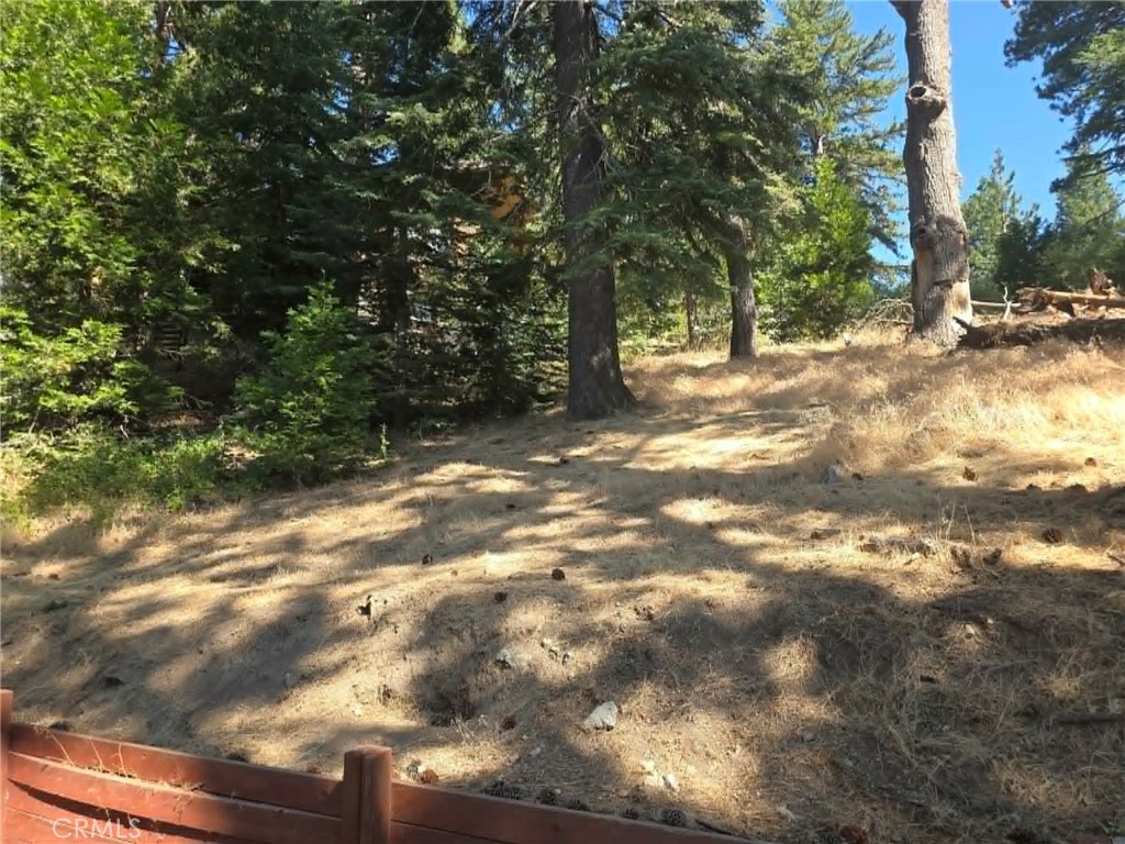30778 Live Oak Property Photo 12