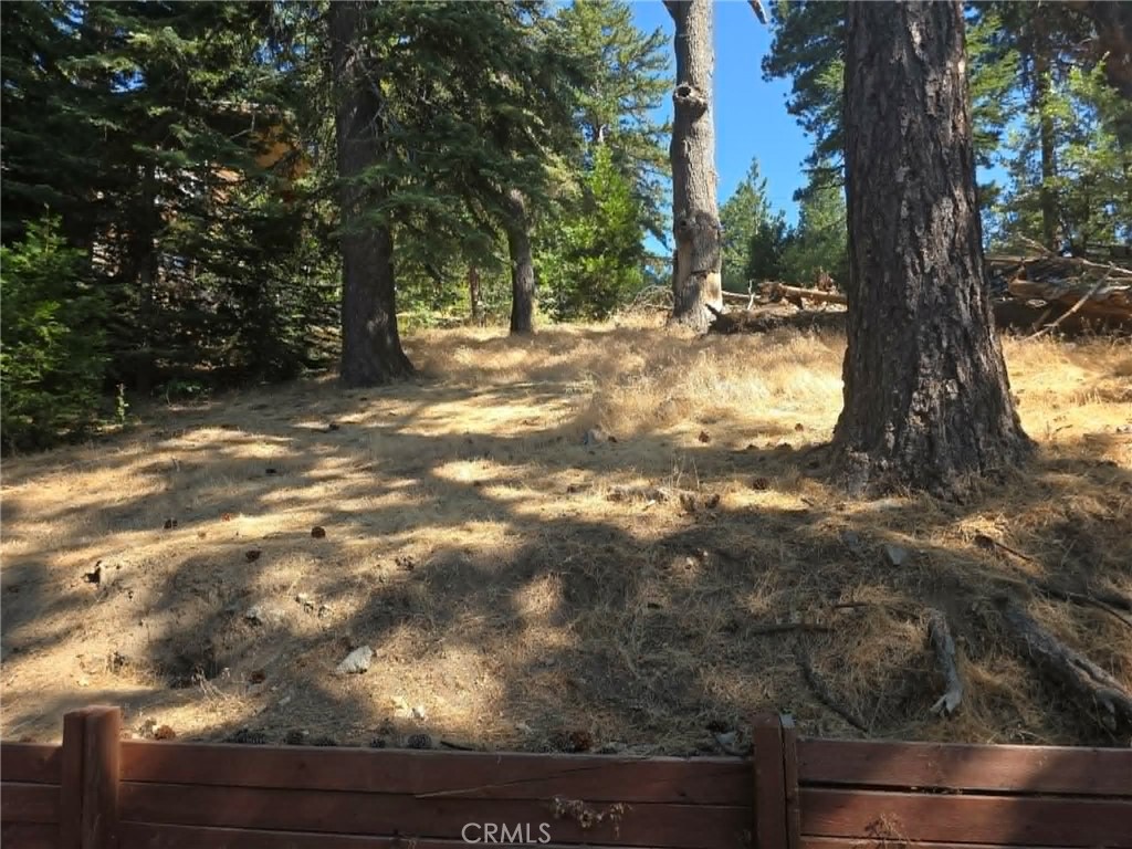 30778 Live Oak Property Photo 13