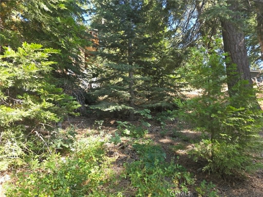 30778 Live Oak Property Photo 14