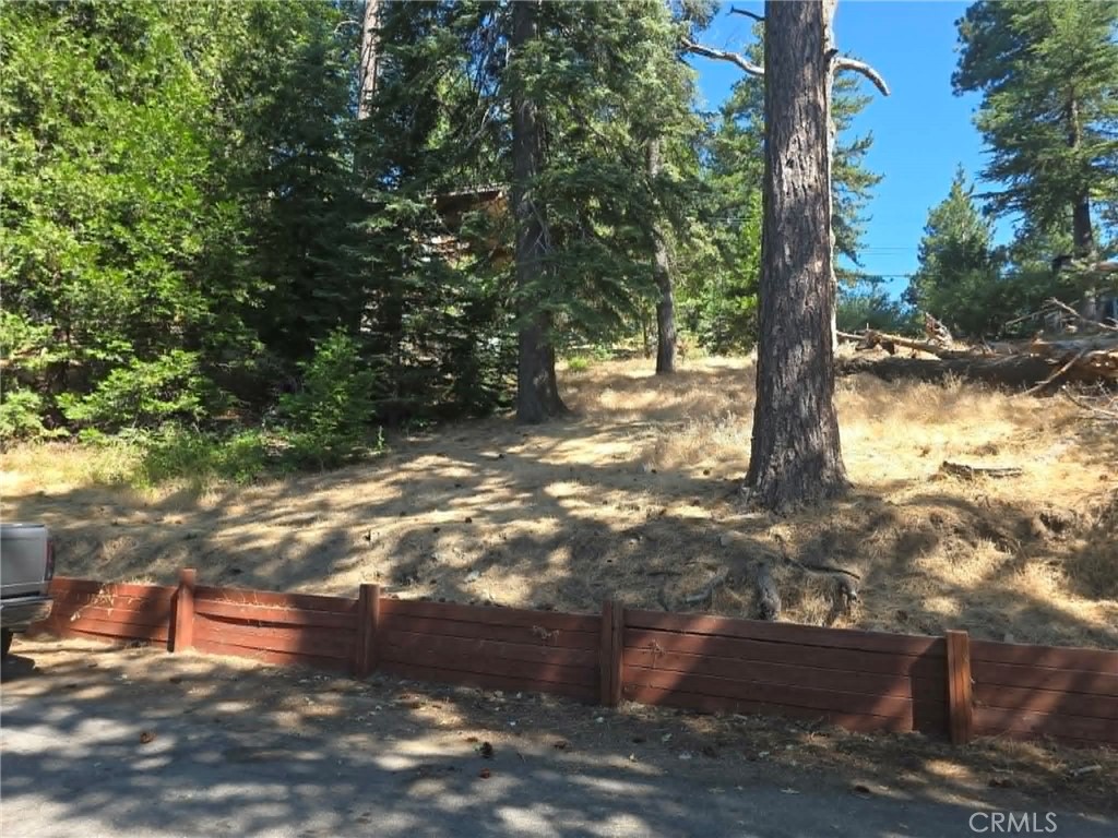 30778 Live Oak Property Photo 15