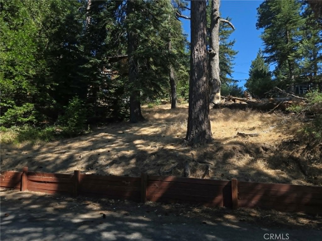30778 Live Oak Property Photo 16
