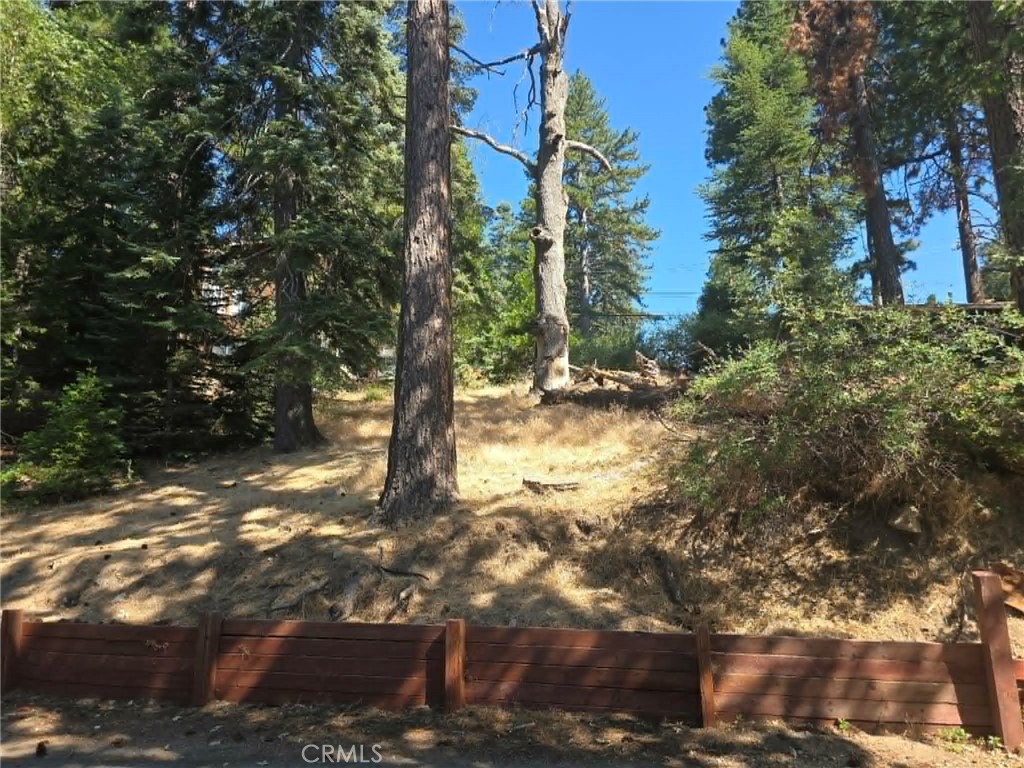 30778 Live Oak Property Photo 17