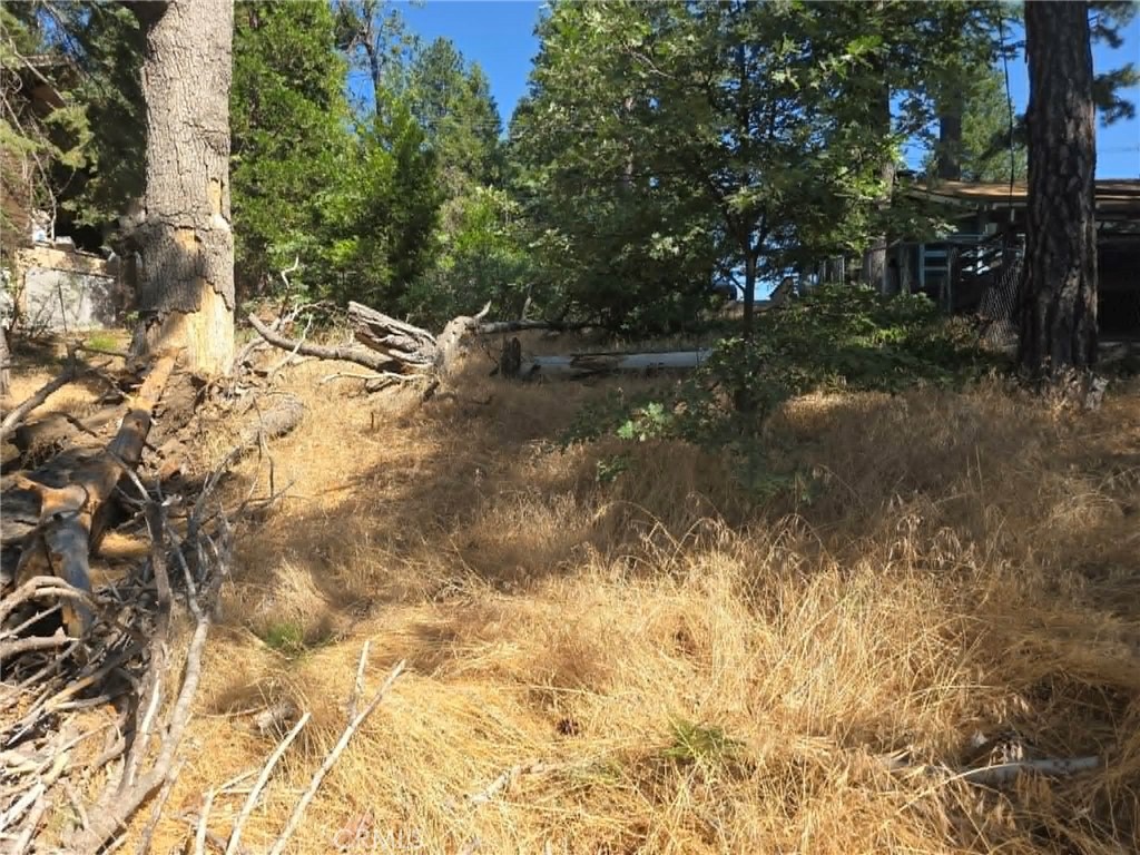 30778 Live Oak Property Photo 18