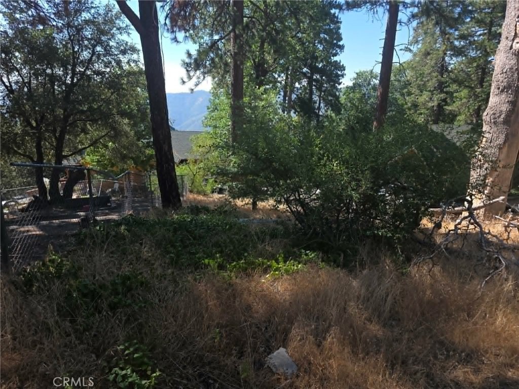 30778 Live Oak Property Photo 19
