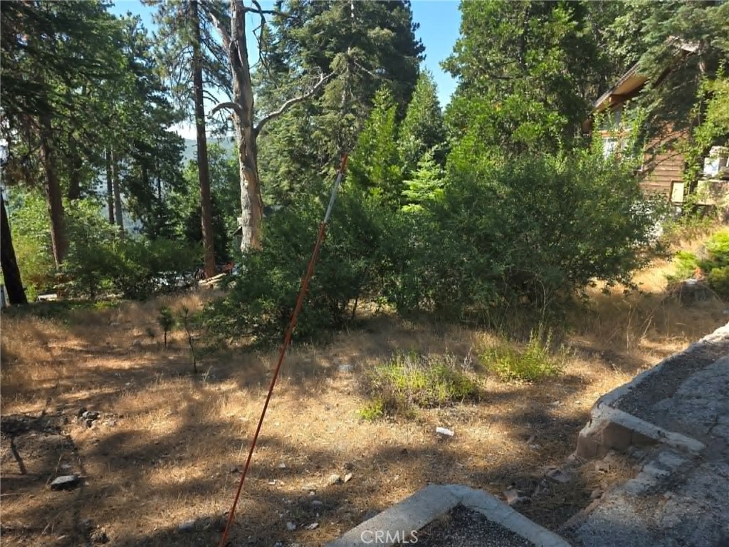 30778 Live Oak Property Photo 20