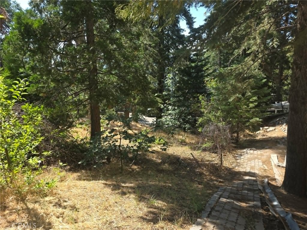 30778 Live Oak Property Photo 22