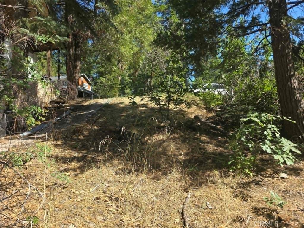 30778 Live Oak Property Photo 23