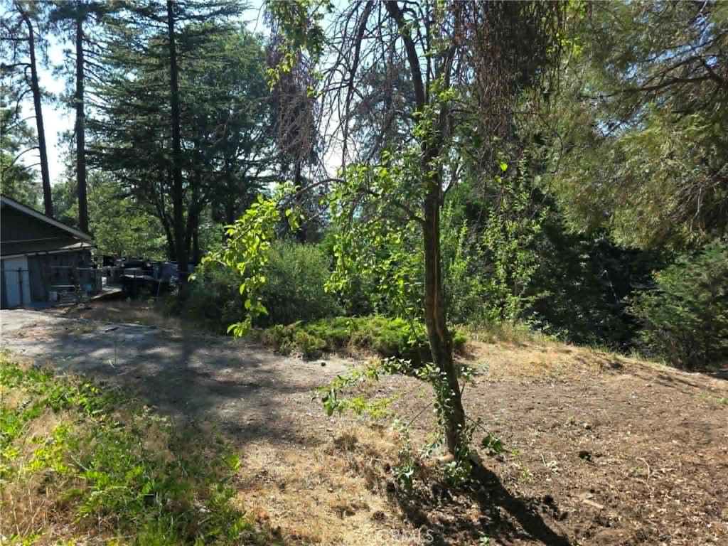 30778 Live Oak Property Photo 26