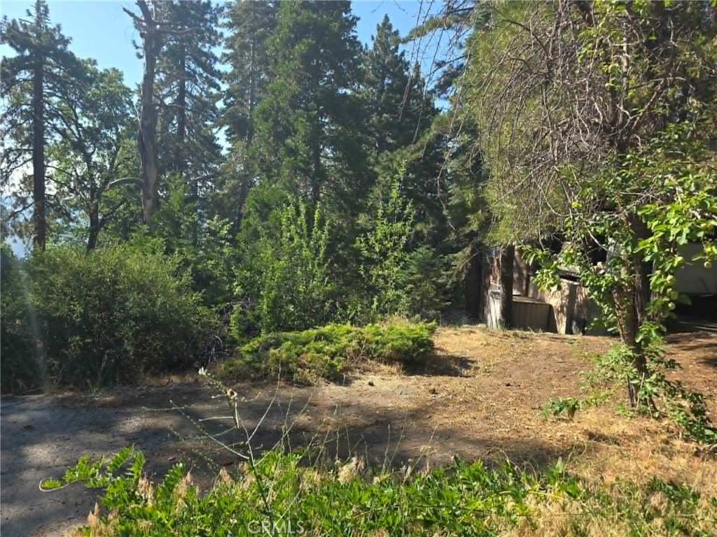 30778 Live Oak Property Photo 30