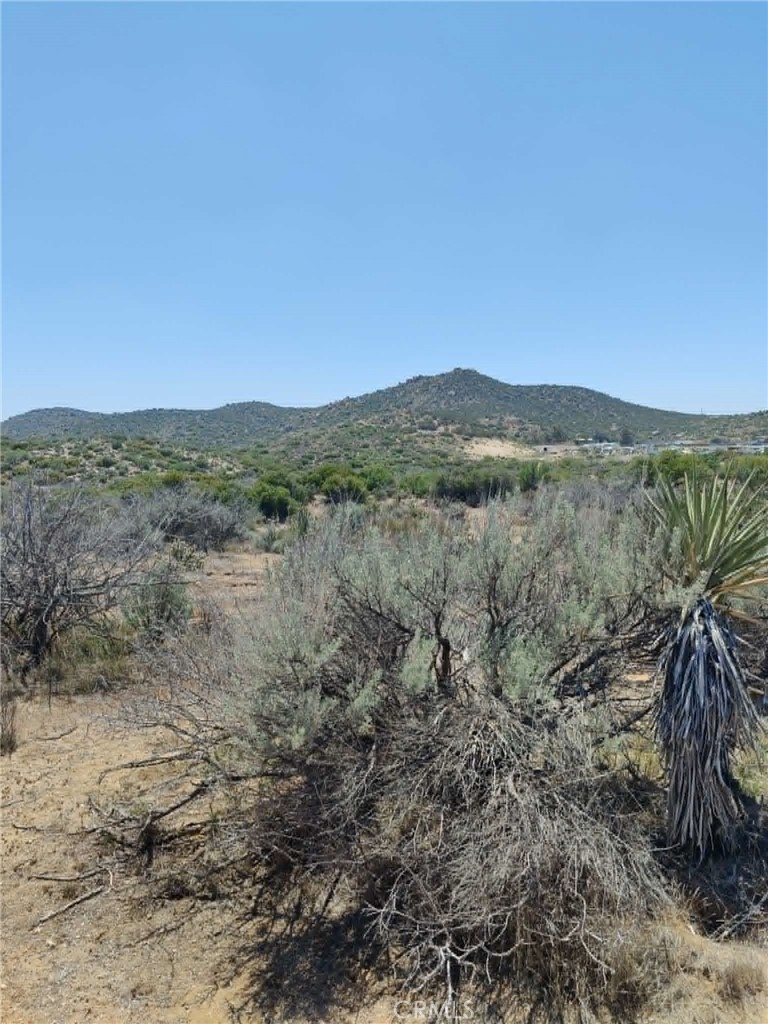 0 Old Highway # 7 Property Photo 21