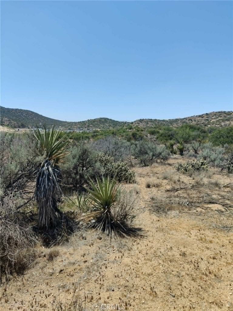 0 Old Highway # 7 Property Photo 13