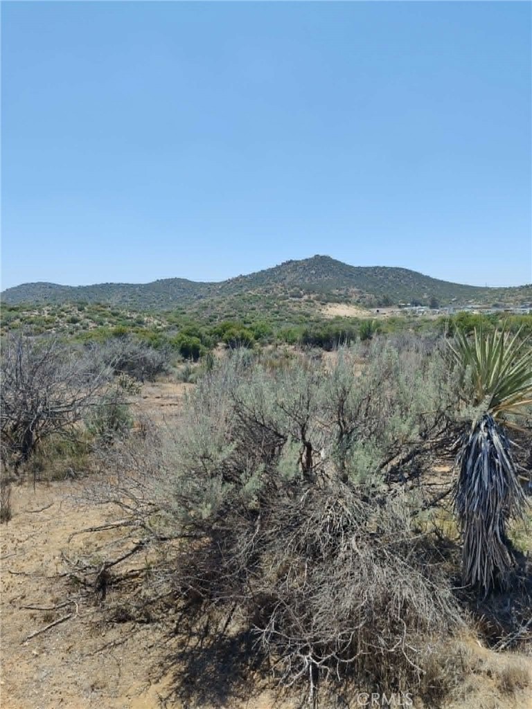 0 Old Highway # 7 Property Photo 22