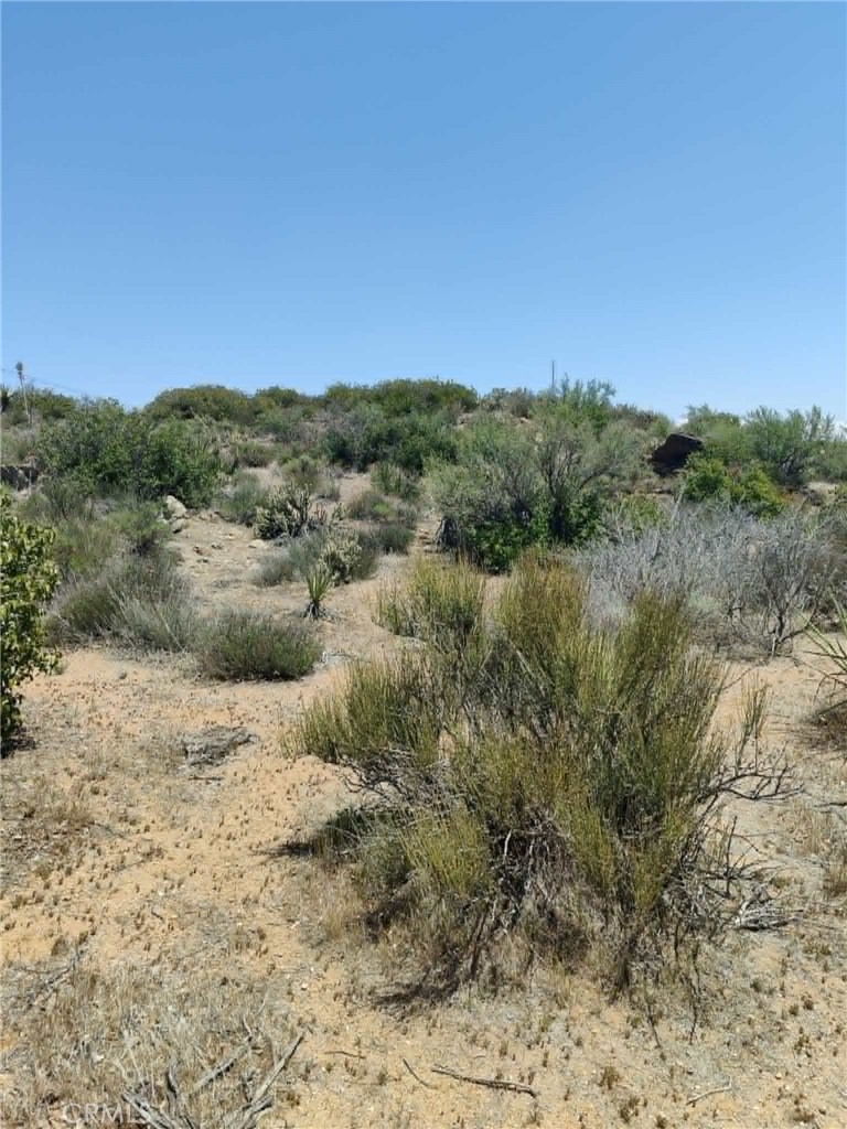 0 Old Highway # 7 Property Photo 25