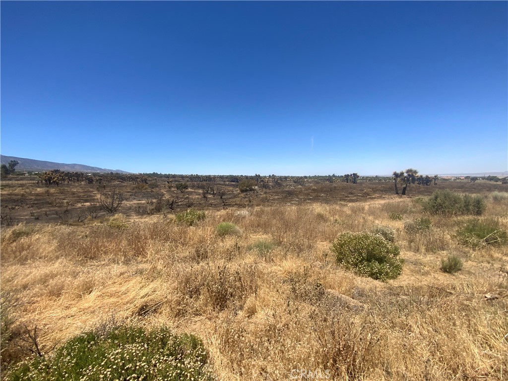 0 Joshua Tree Property Photo 1