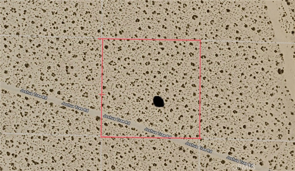 0 Joshua Tree Property Photo 4