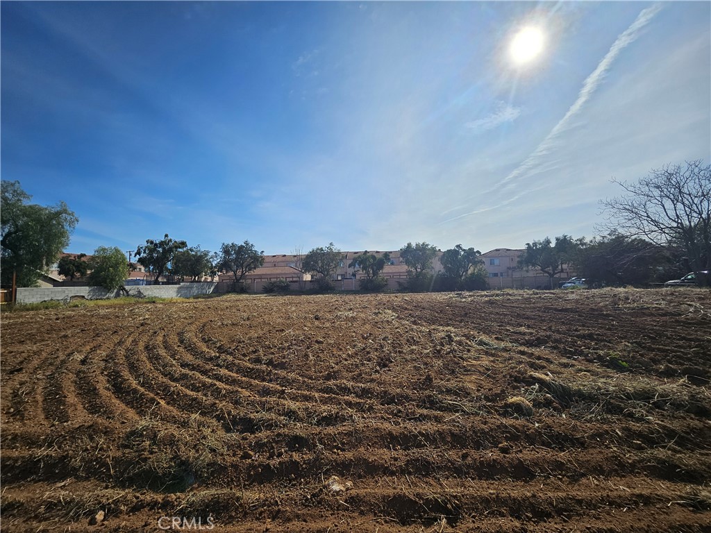 24208 Dracaea Avenue Property Photo 5