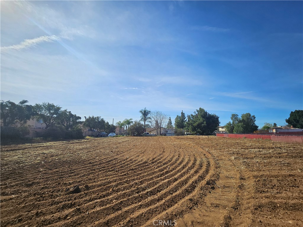 24208 Dracaea Avenue Property Photo 8