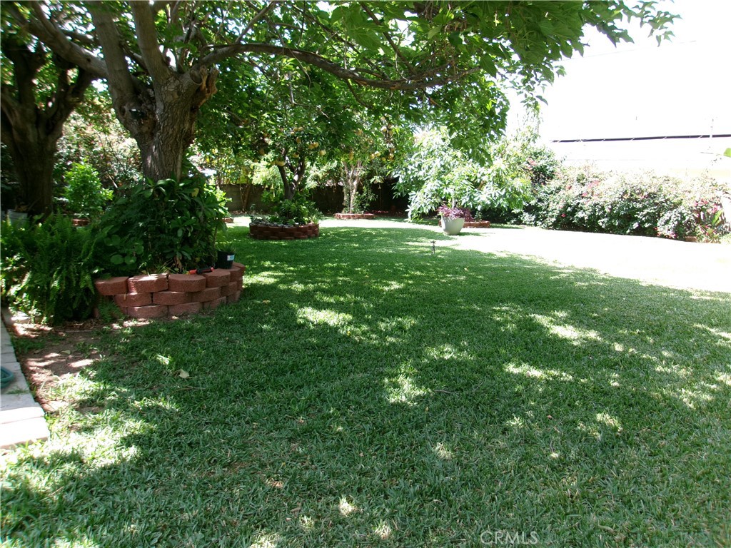 3720 Camellia Property Photo 7