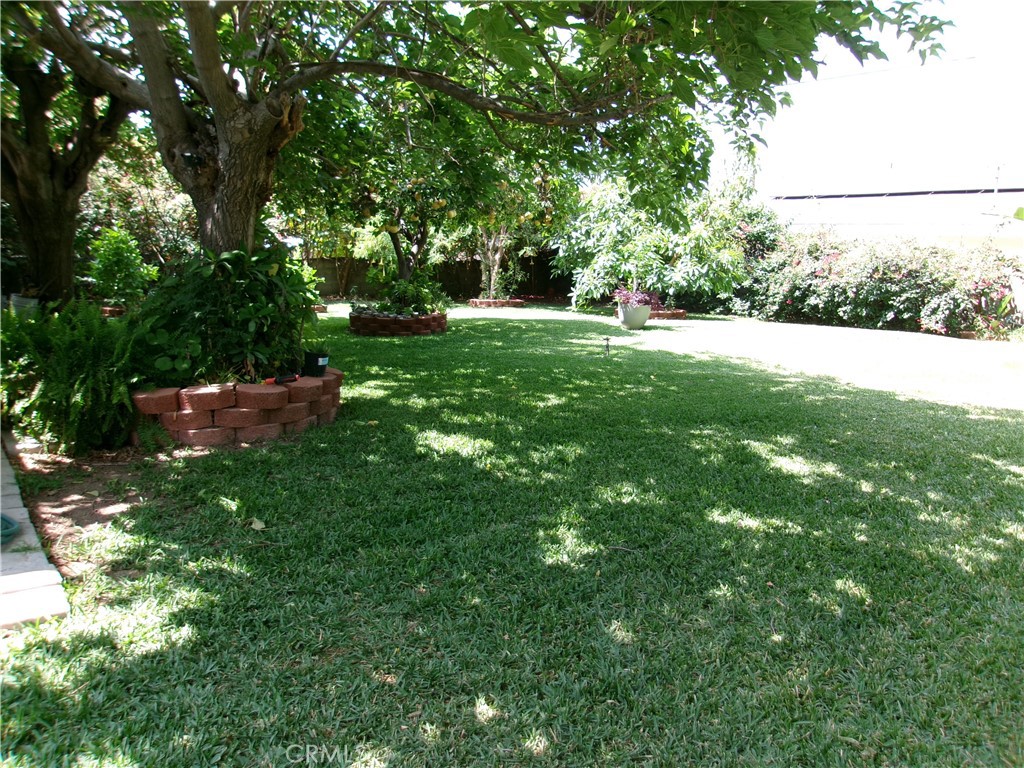 3720 Camellia Property Photo 7