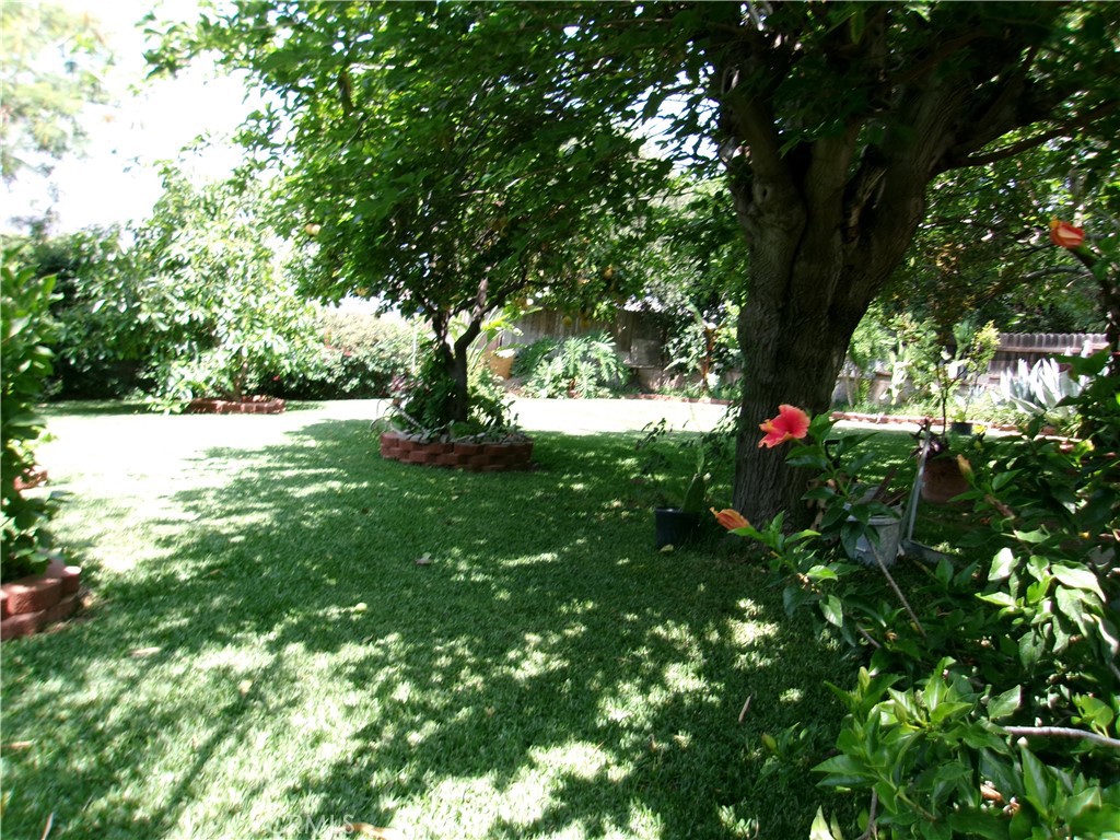 3720 Camellia Property Photo 16