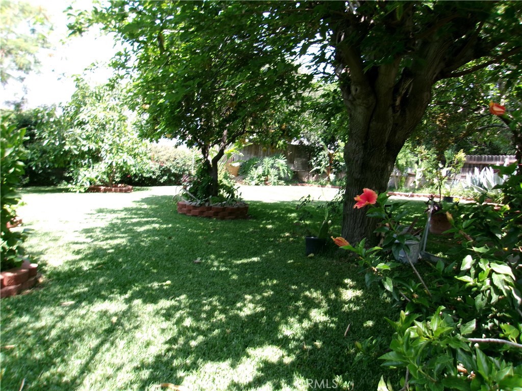 3720 Camellia Property Photo 16