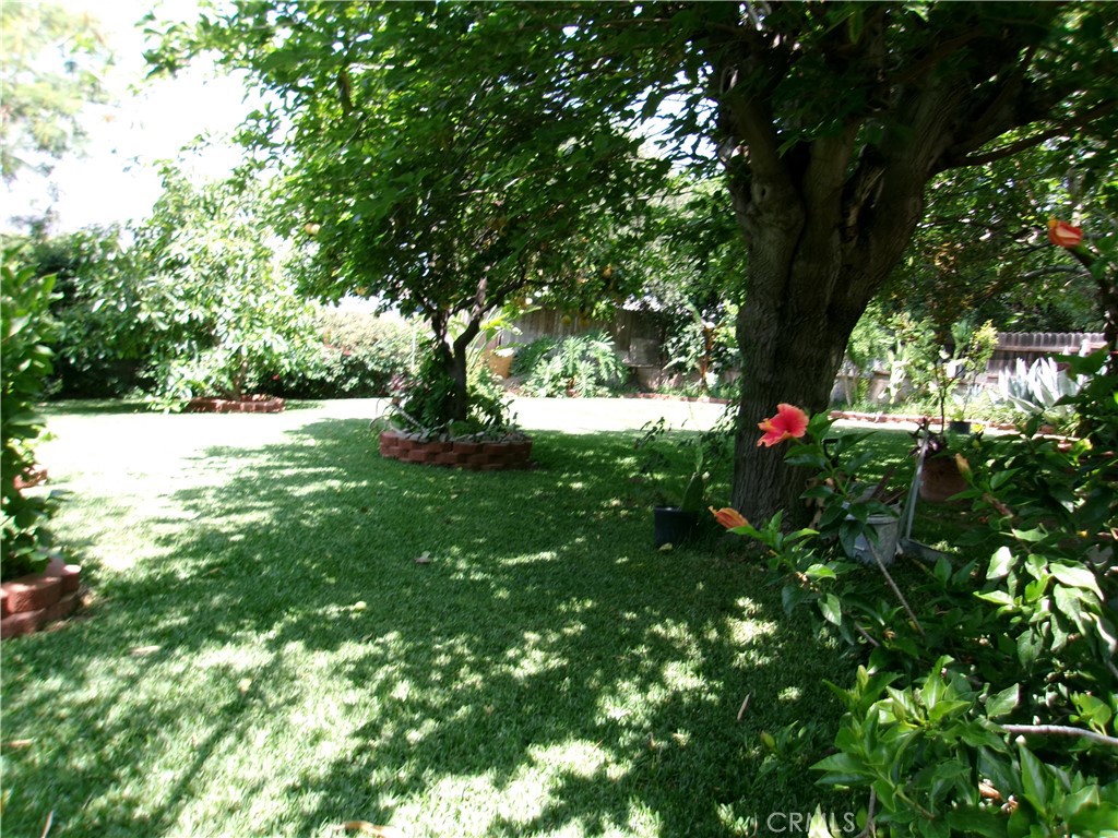 3720 Camellia Property Photo 16
