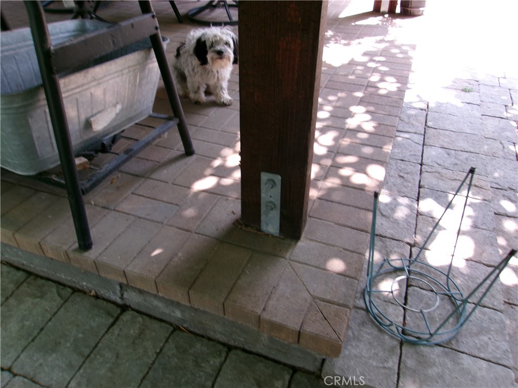 3720 Camellia Property Photo 21