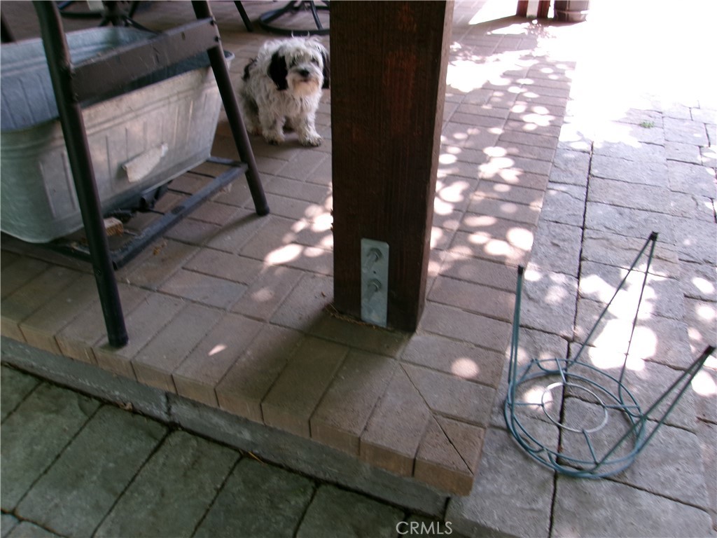 3720 Camellia Property Photo 21