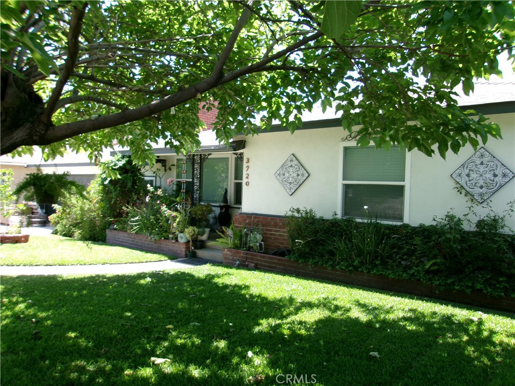 3720 Camellia Property Photo 28