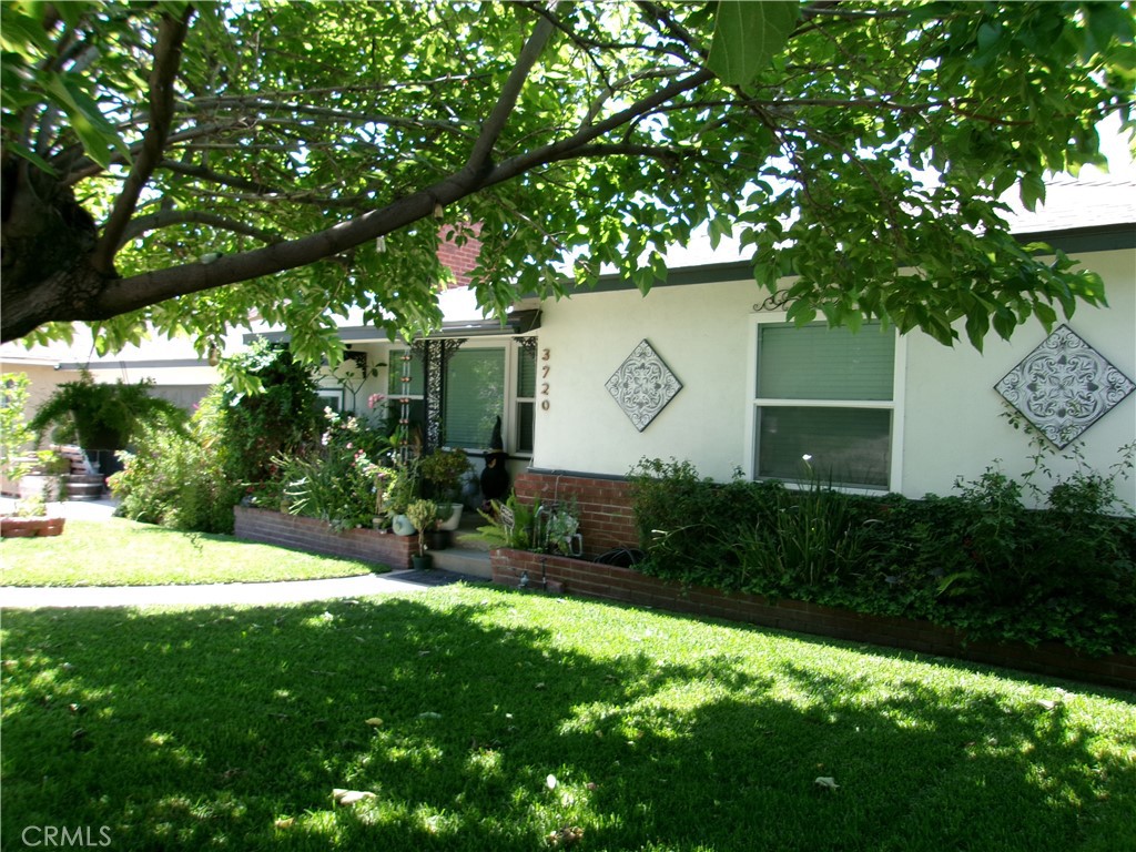 3720 Camellia Property Photo 28