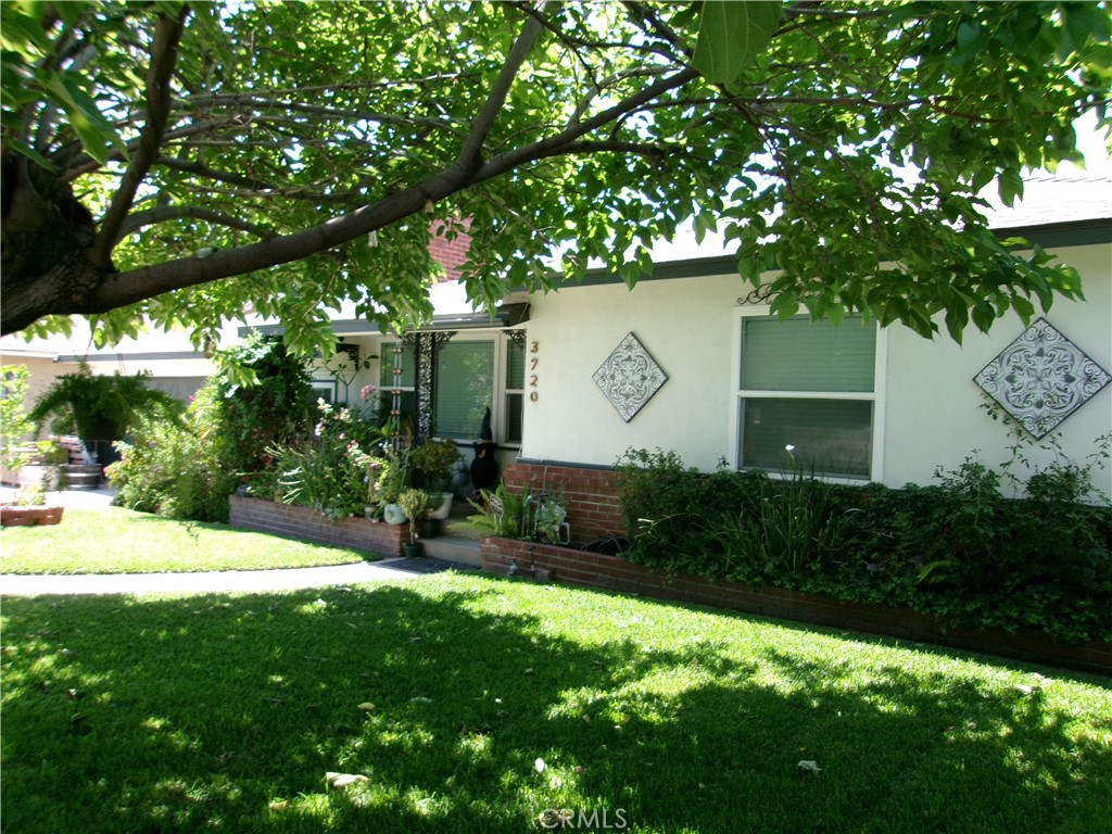 3720 Camellia Property Photo 28