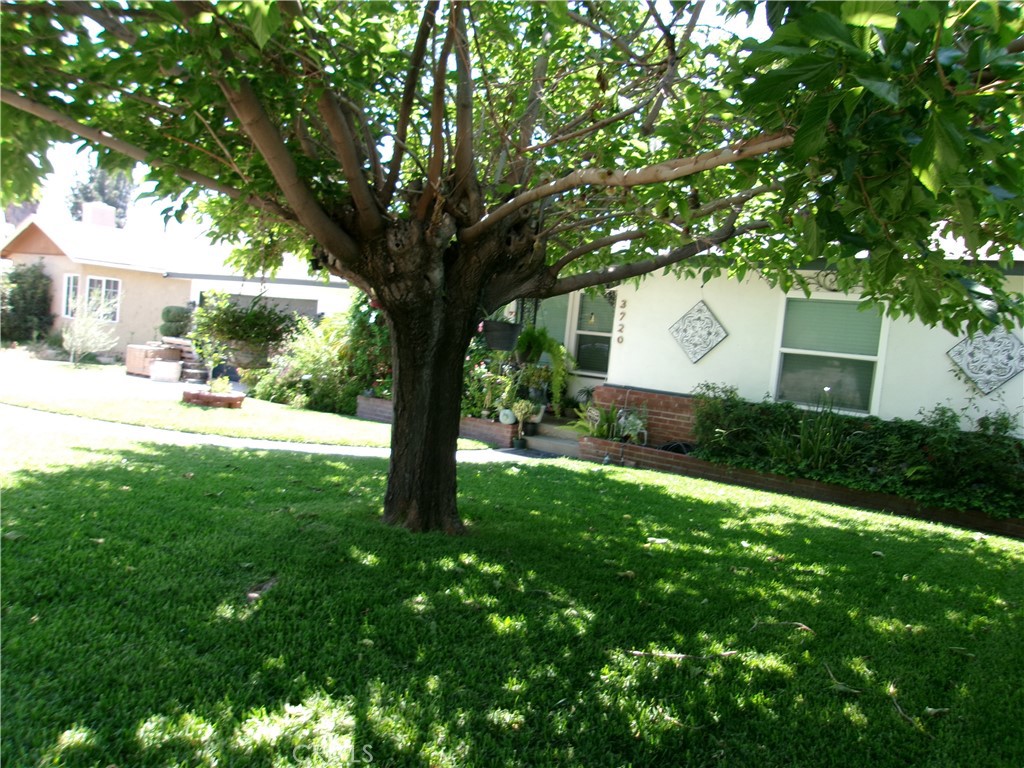 3720 Camellia Property Photo 29