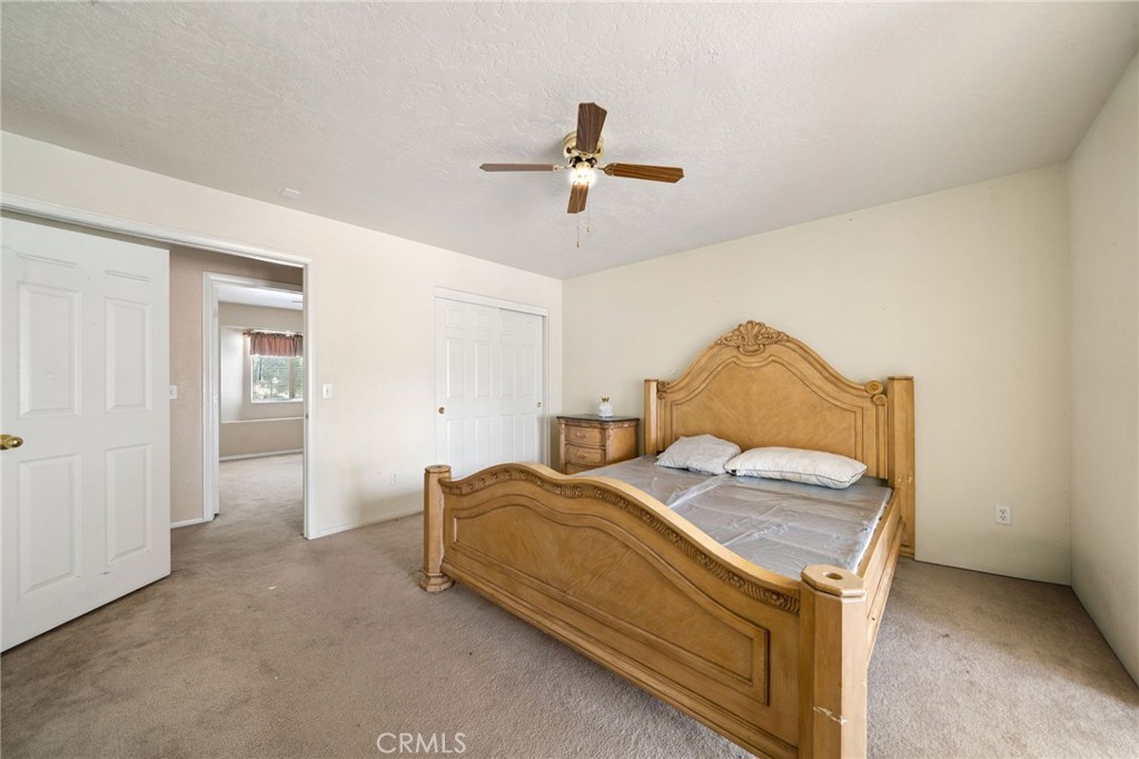 11906 Apatite Avenue Property Photo 41