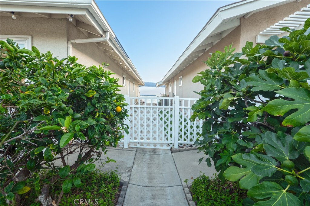 215 Camino San Clemente Property Photo 44